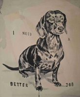 https://www.andreasleikauf.net:443/files/gimgs/th-51_i need a better job.jpg